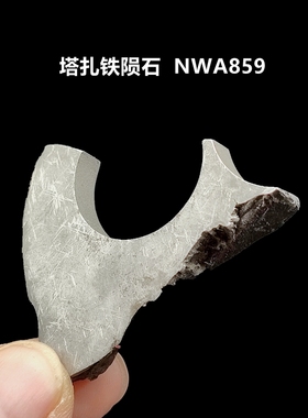 摩洛哥天然taza塔扎NWA859铁陨石切片上帝的钢铁十字花纹教学标本