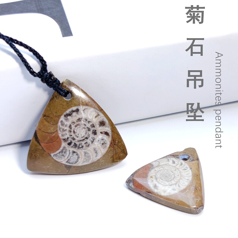 古生物化石天然菊石吊坠饰品项链海洋生物化石饰品古生物化石标本