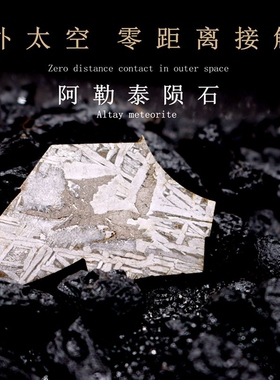 阿勒泰铁陨石切片天然陨石摆件Aletai镍铁石陨石科普教学标本礼物