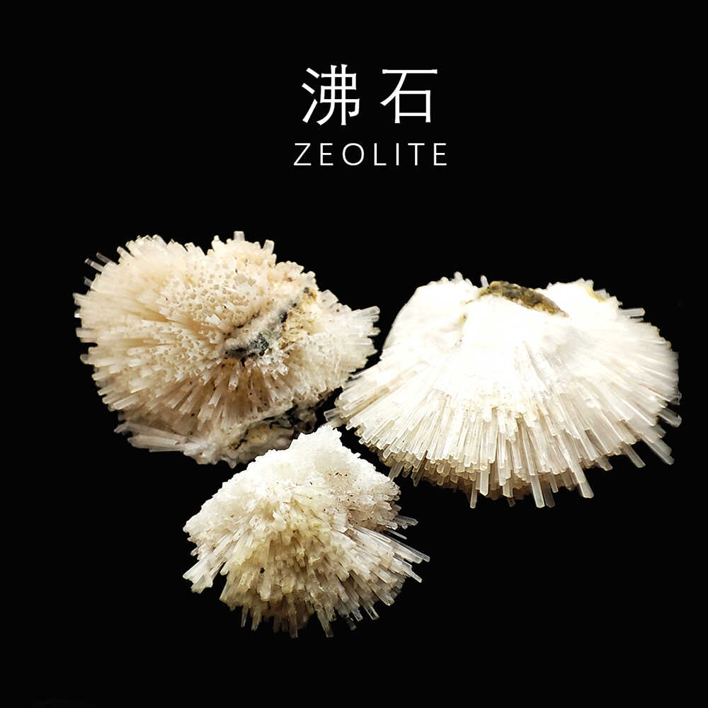 摩洛哥蒲公英沸石毛球天然矿物猫矿物晶体观赏石原石地质摆件标本