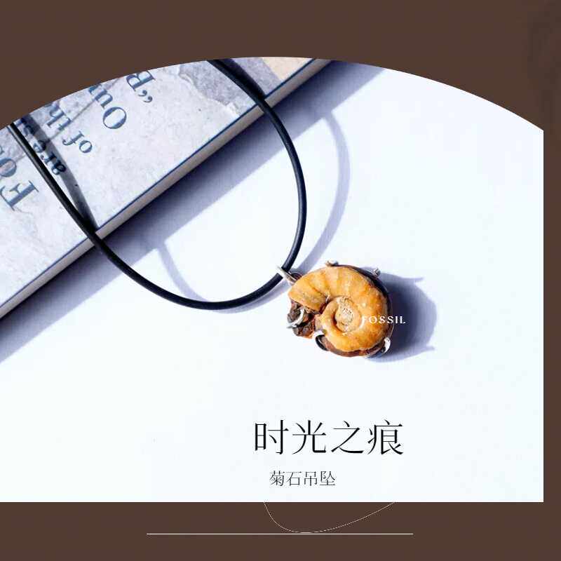 菊石三叶虫化石吊坠纯银镶嵌男女吊坠饰品海洋天然古生物标本礼物