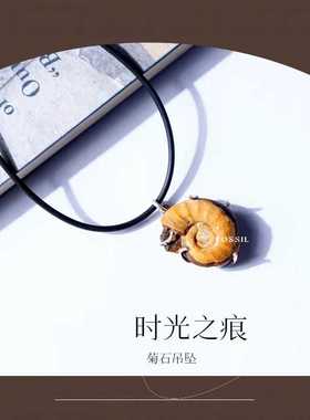 古生物菊石三叶虫化石吊坠原石头