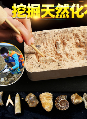 考古挖掘盲盒古生物天然化石原石头地质科普教学标本儿童寻宝手工