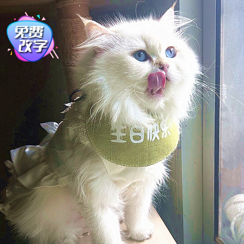 生日快乐猫咪防水英短口水巾布偶棉麻蓝猫围兜橘猫饰品宠物围嘴