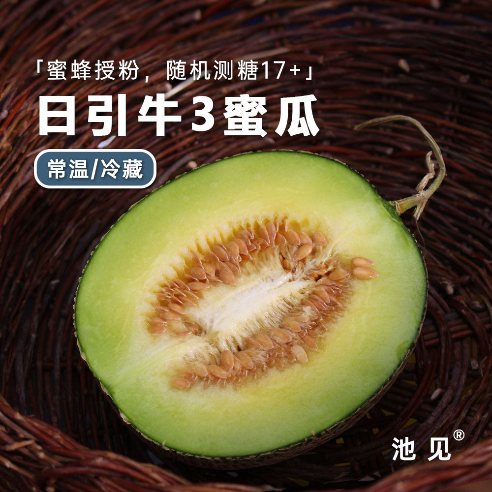 池见 海南牛3蜜瓜冰淇淋日本引进品种静冈竞岗网纹瓜礼盒蜜蜂授粉