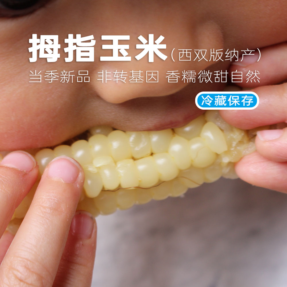 池见西双版纳拇指玉米软糯即食新鲜健康粗粮非转基因真空儿童孕妇