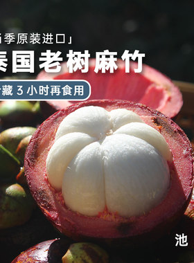 池见 泰国进口山竹精选特级新鲜大果5A麻竹热带当季水果整箱5斤