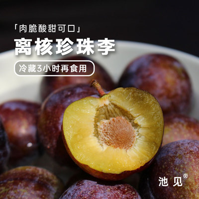 池见四川汶川阿坝珍珠李脆红李脱核脱骨李子脆甜新鲜当季水果顺丰