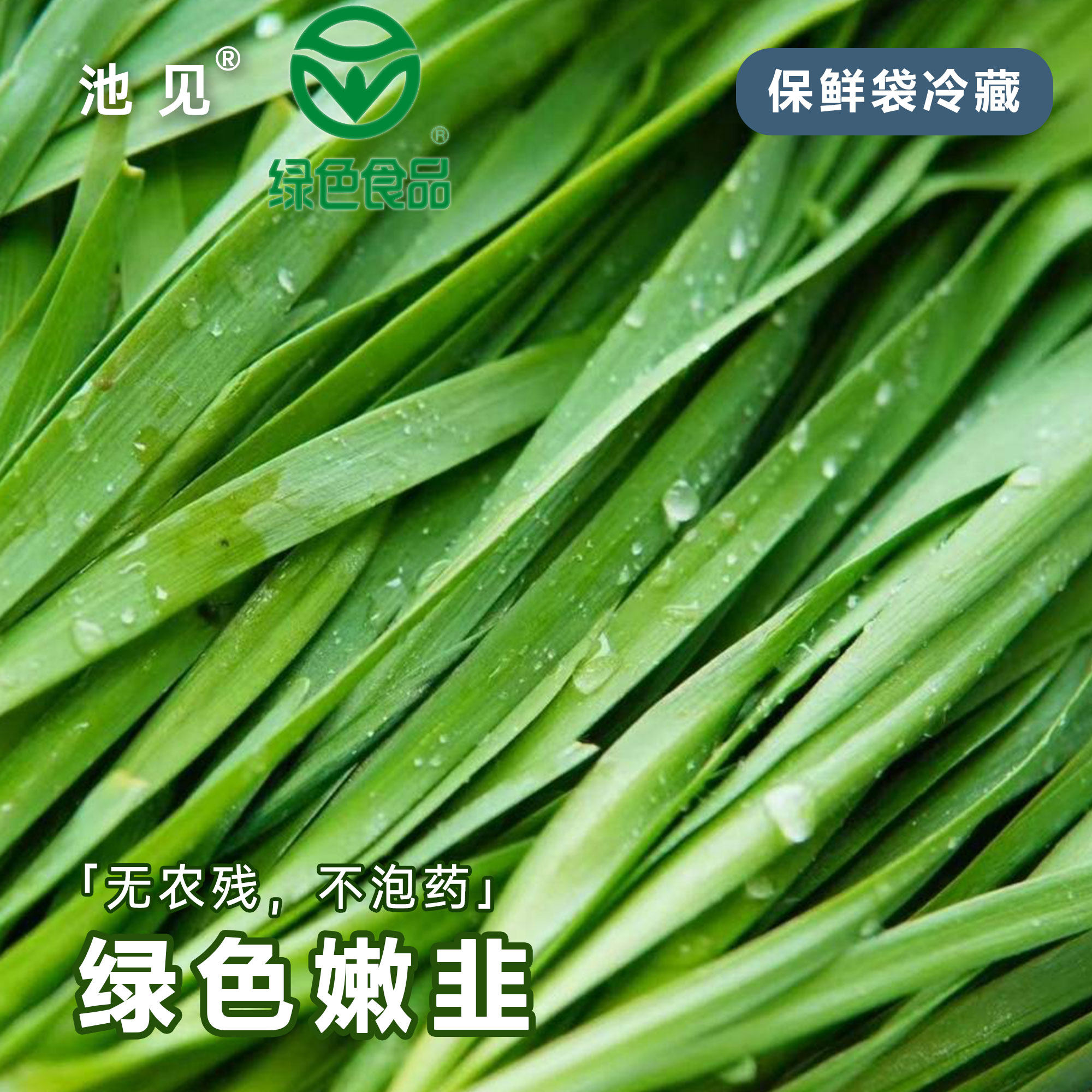 新鲜蔬菜现割鲜嫩韭菜新鲜
