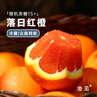 池见落日中华红肉卡拉脐橙红心橙子红橙湖北秭归新鲜水果现摘现发