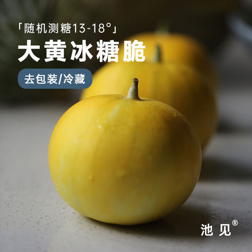 高端品种大黄冰糖脆甜瓜