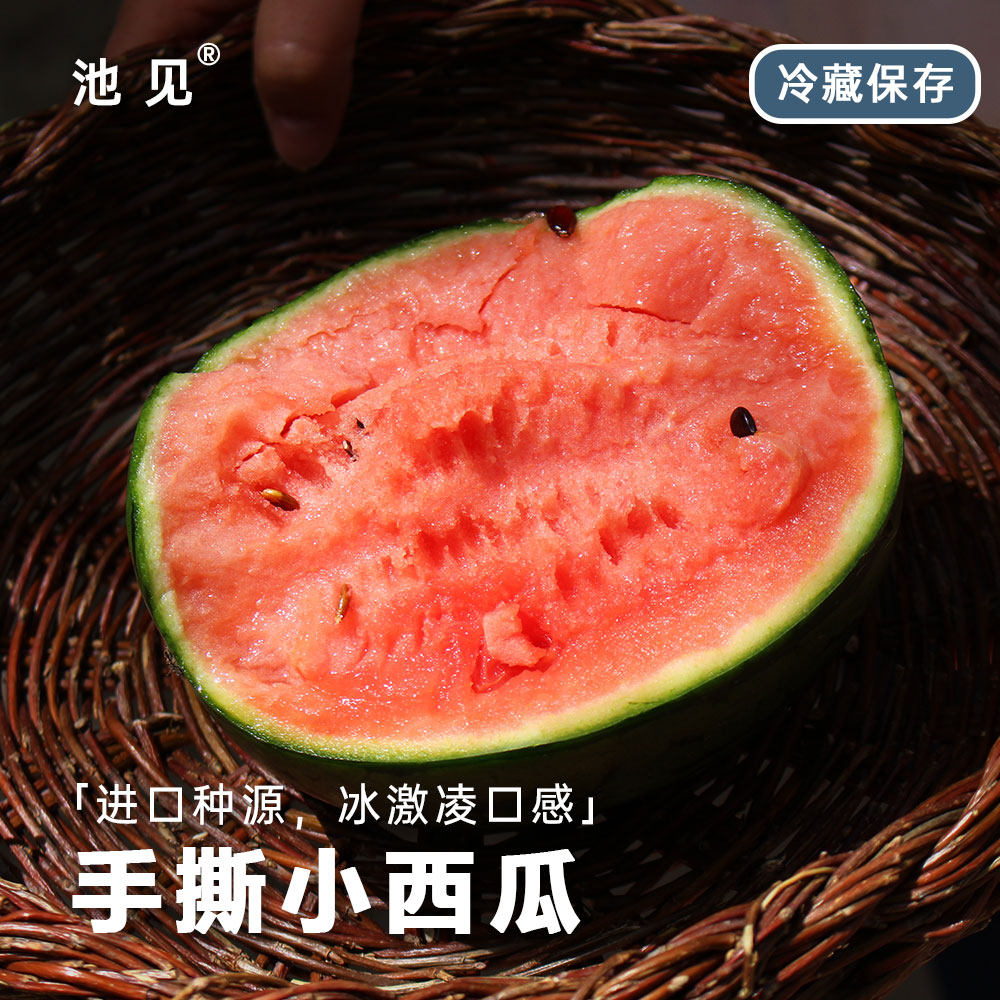 池见 新鲜水果小糖丸现摘现发手撕冰激凌小西瓜巴掌蜜玉小吊瓜香,水产肉类/新鲜蔬果/熟食,西瓜,淘宝优惠券,粉丝福利购,淘宝优惠卷