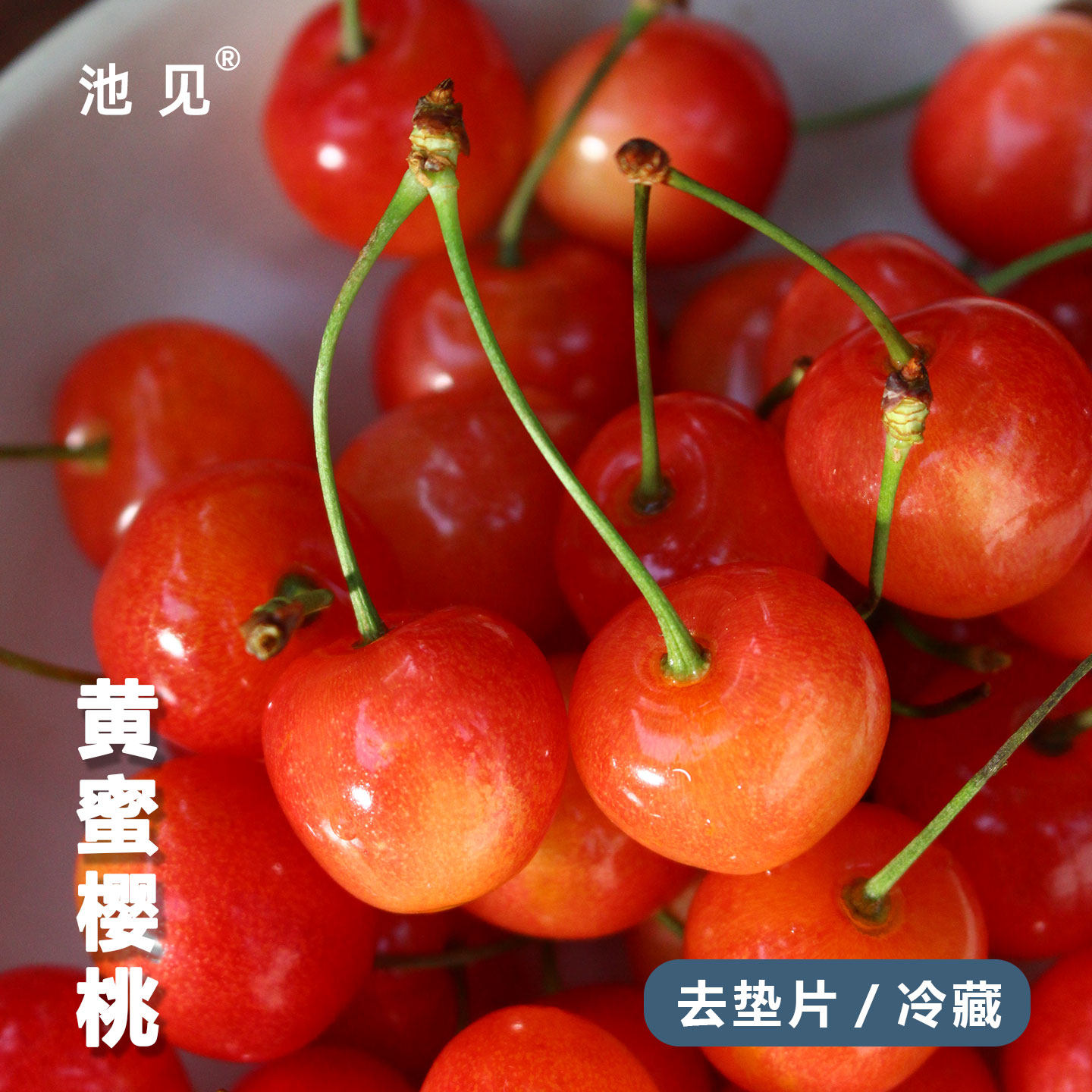 池见 冰花黄蜜大樱桃现摘现发当季新鲜水果软糯车厘子
