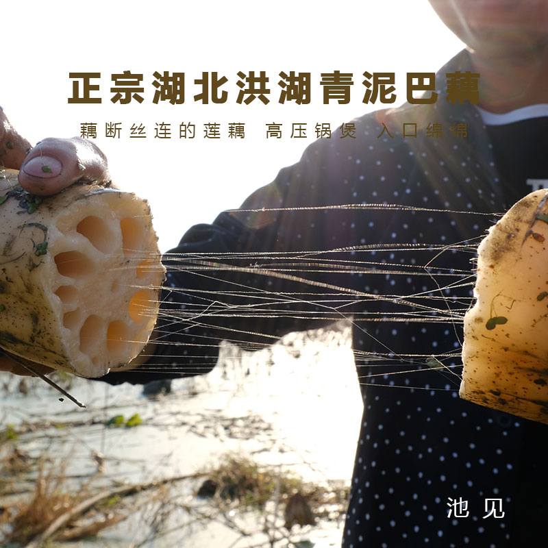 池见湖北洪湖青泥巴藕高压锅煲汤