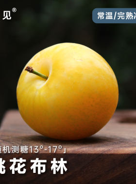 池见  四川汉源桃花李冰糖李软汁桃花布林李子黄金李大新鲜水果