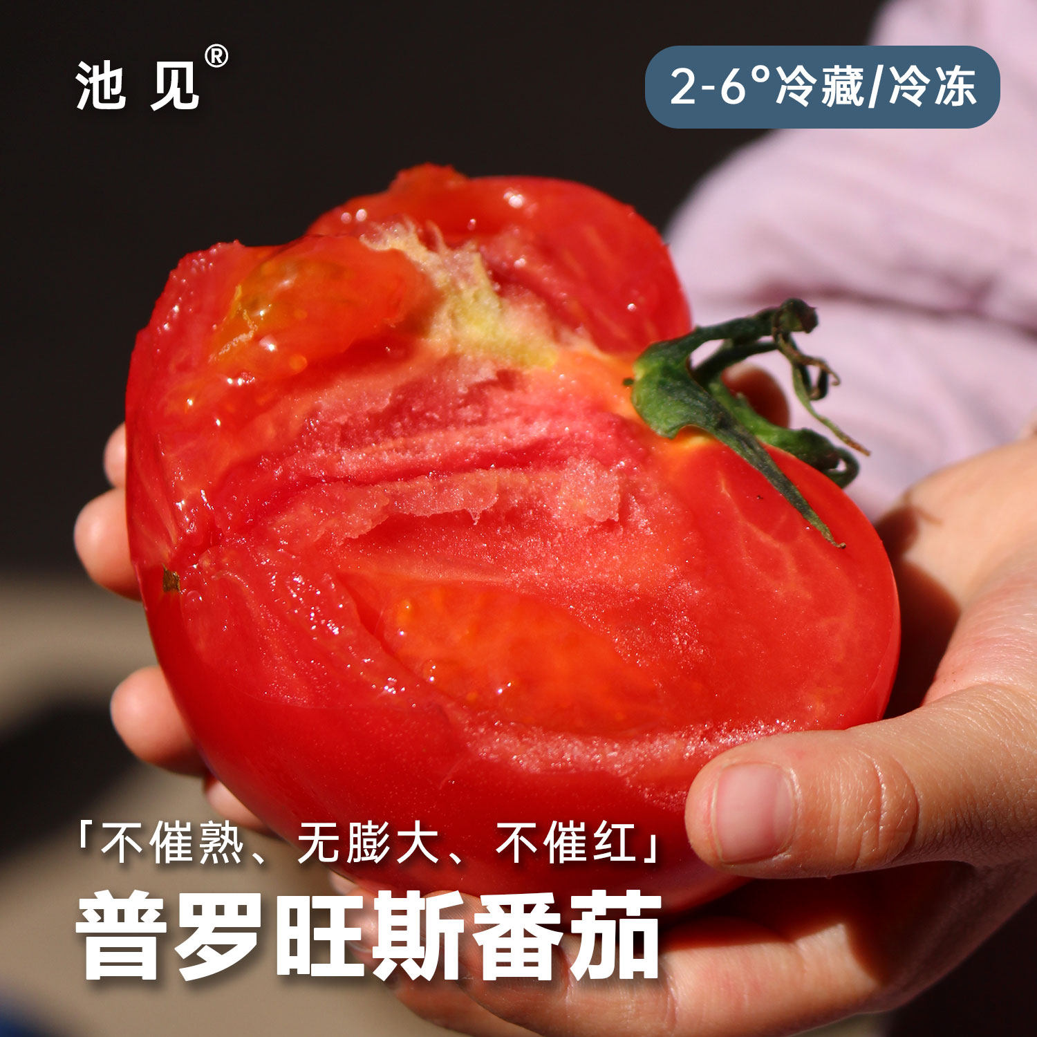 池见 陕西农家自种普罗旺斯番茄沙瓤西红柿新鲜水果当季现摘现发