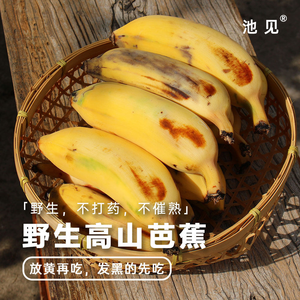 池见 野生五指山高山芭蕉【纯野生,不打药,不催熟】顺丰航空
