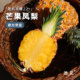 池见 无眼无子手撕香水菠萝 海南芒果凤梨23号凤梨新鲜水果当季