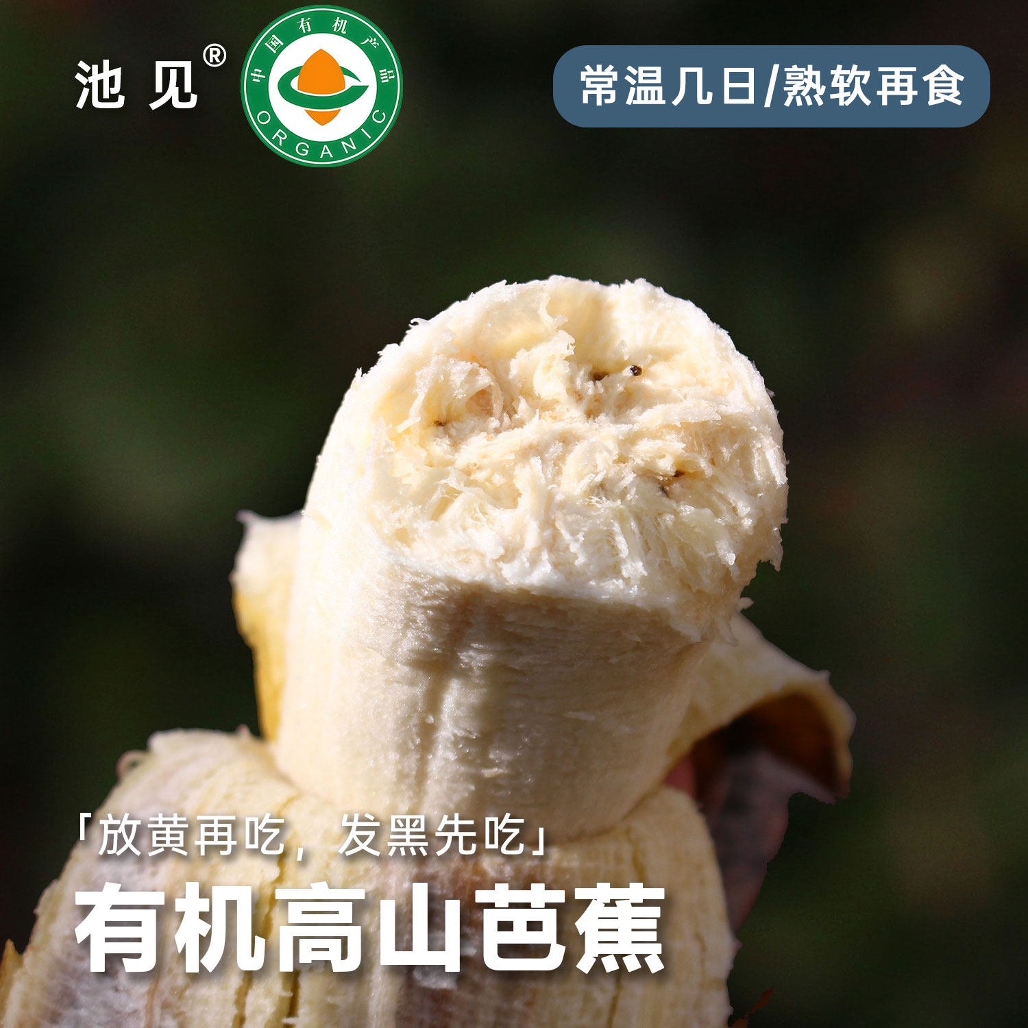 池见 云南高原野生有机老实芭蕉香蕉新鲜水果孕妇自然熟山蕉整箱