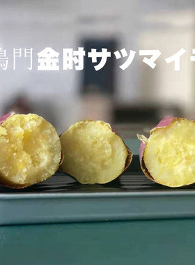 池见日本原种鸣门地瓜红薯无丝