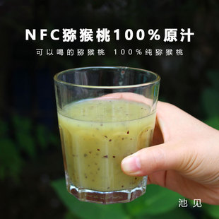 池见 NFC猕猴桃汁100%果肉原汁非浓缩新鲜奇异果原浆248ml*8瓶/箱