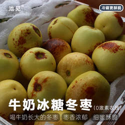 池见 高端出口级冰糖牛奶冬枣【肉质细嫩 酥脆水甜】 非大荔冬枣