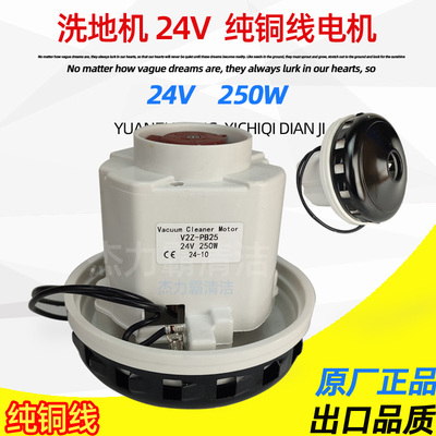 电瓶洗地机电机 24V 马达 V2Z-PB25 24V 250W 扫地机电动机 风机