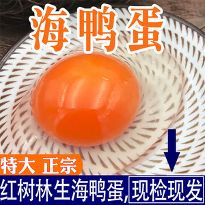 广西北海北部湾红树林正宗新鲜生海鸭蛋土鸭蛋笨海鸭蛋30枚装包邮