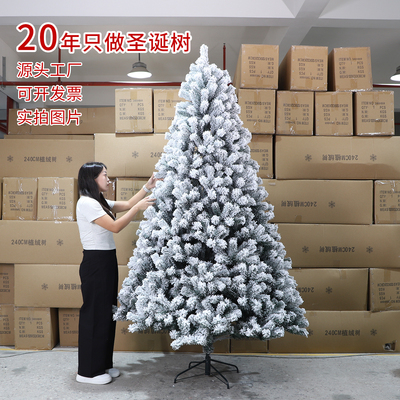 圣诞树家用植绒喷雪树