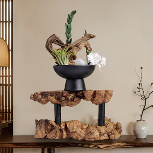 天然风化木雷击木枯化木头装饰树根禅意自然风化枯木艺术造型木根