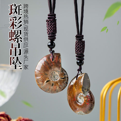 天然斑彩螺贝壳原石摆件化石矿石