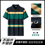条纹纯棉短袖POLO衫男青中年商务休闲翻领保罗T恤PL6638P36，男装Polo衫，星座1410（原1902A）