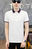 男POLO衫春夏秋翻领短袖新款潮男高档T恤纯色商务休闲PL6617P40，男装T恤，星座1410（原1902A）