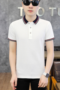 男POLO衫春夏秋翻领短袖新款潮男高档T恤纯色商务休闲PL6617P40图片