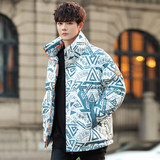 2021冬季新保暖立领短款印花青年男士外套灰鸭绒羽绒服YR9867，男装羽绒服，星座1410（原1902A）