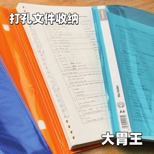 A4活页两孔透明彩色文件夹