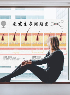美容院头发生长周期玻璃贴