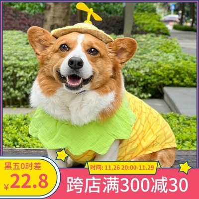 狗狗柯基衣服秋装防掉毛背心春秋款中小型犬柴犬比熊泰迪衣服夏季