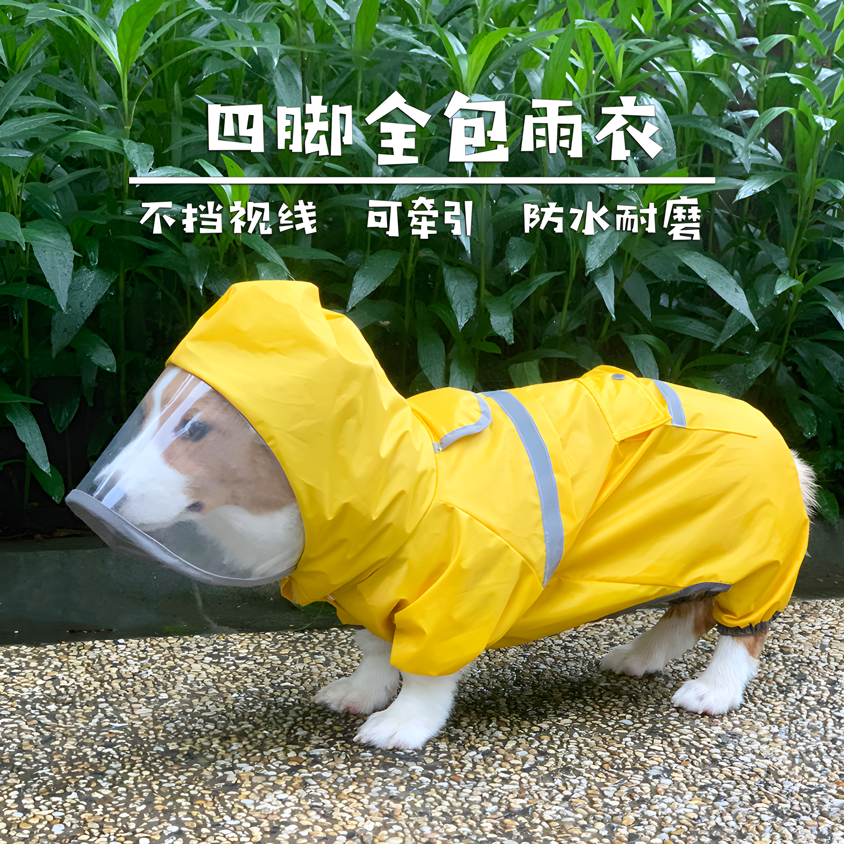 柯基犬狗狗雨衣四脚防水衣服比熊西高地雨衣全包秋冬秋季宠物用品