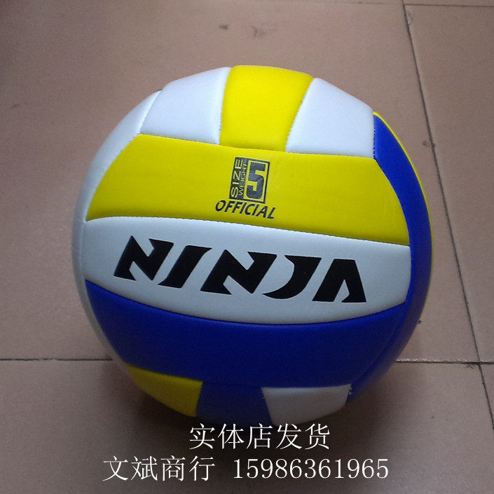 Ballon de volley-ball - Ref 2010478 Image 1