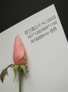 120g370g荷兰白卡180g大白纸a0全开大张纸240g画画纸A4加厚白卡纸