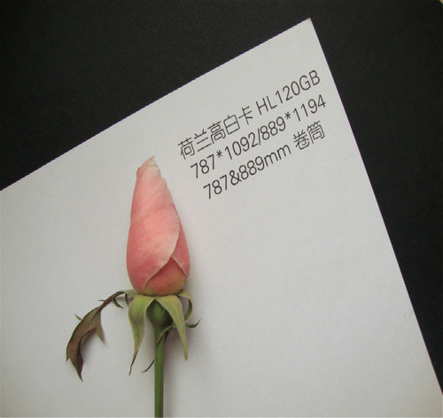 a0全开大白纸沛馨大张画画纸加厚