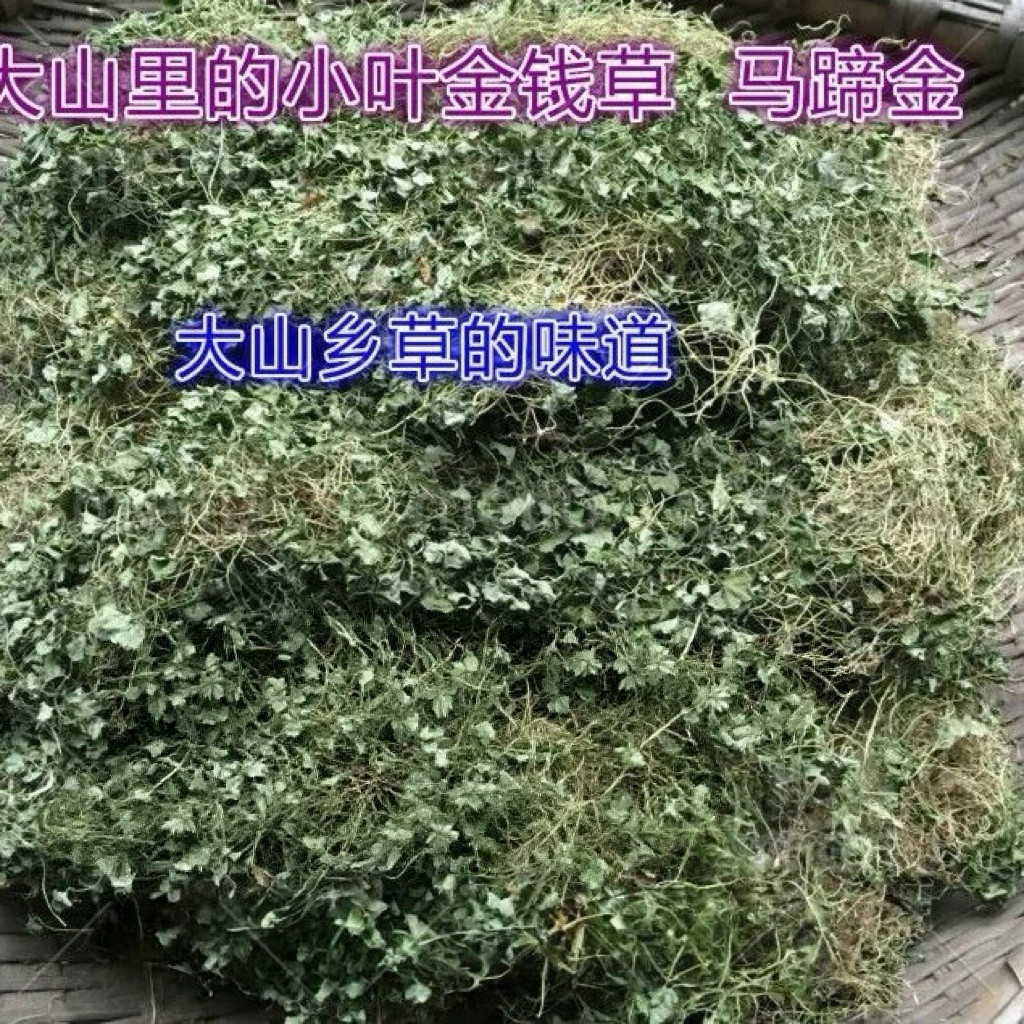 野生四川小叶金钱草马蹄金小金钱草中药材500克包邮