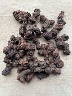 四川野生老鹳草红花老鹳草百花老鹳草白花老鹳草中药材泡酒