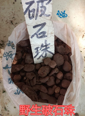 药材破石珠土栾儿九牛子鸡生旦九子羊三叶青金钱吊葫芦金线吊葫芦