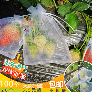 草莓透气套袋西红柿无花果保护袋