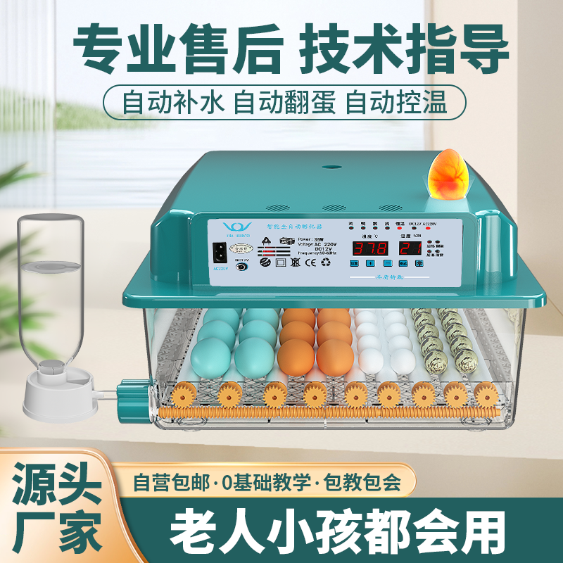 二队孵化机全自动小型家用型孵蛋器鹦鹉孵化箱鸭鹅鸽子小鸡孵化器