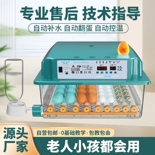 全自动智能孵化器小家用型孵蛋器
