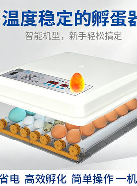 全自动智能小型家用水床孵化器