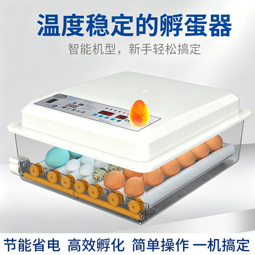 全自动智能小型家用水床孵化器